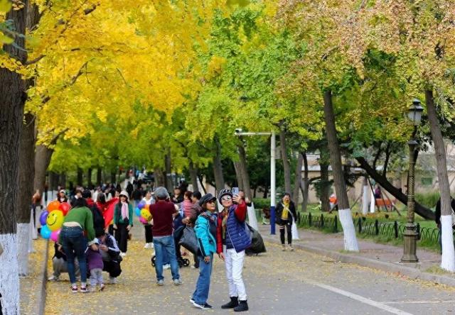 人已爆满！很多青岛人全家出动，乌泱乌泱的……今天这一幕，绝了！