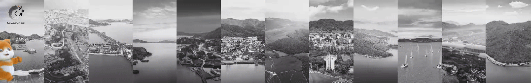 一场迟到的银杏雨，给钱湖南路染上了秋天的颜色~