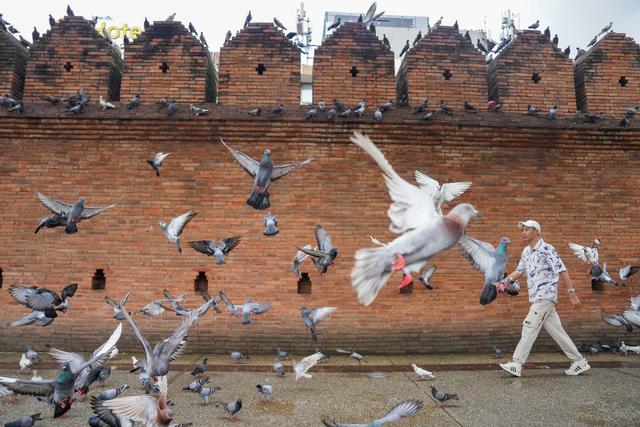 清迈住进当地人家，不用赶景点、不拼行程，把生活过得慢一点