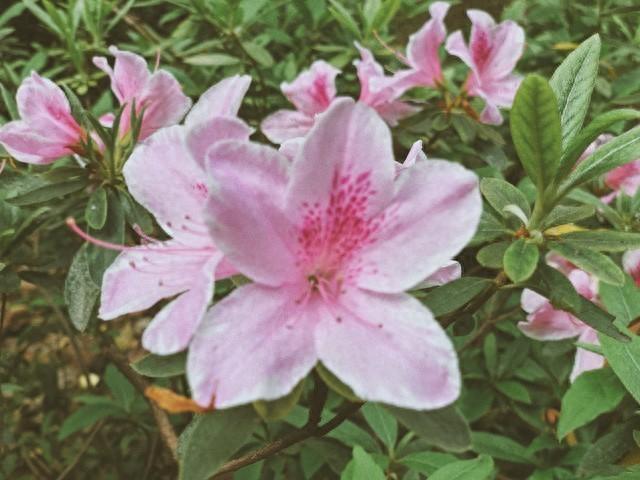 新来员工自我介绍（新来的女同事24岁）