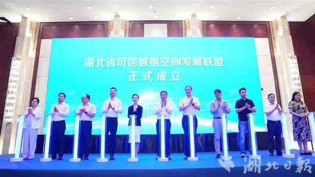 湖北省可信数据空间发展联盟成立 公示15个省级可信数据空间创新发展试点