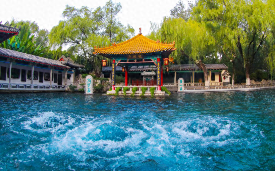 赏菊全攻略！第46届趵突泉金秋菊展即将点亮泉城秋色