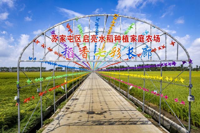 辽宁沈阳：市民与游人又一打卡地来袭