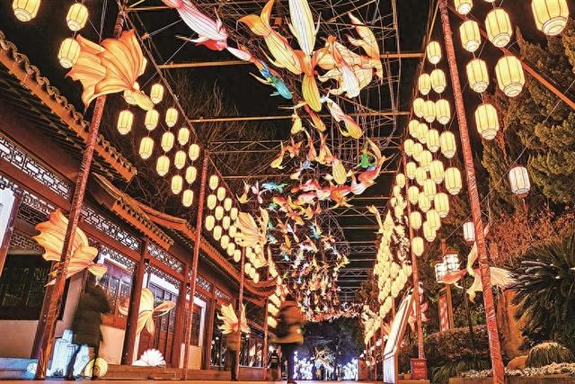 走进秦淮灯会：灯影摇曳 书香氤氲