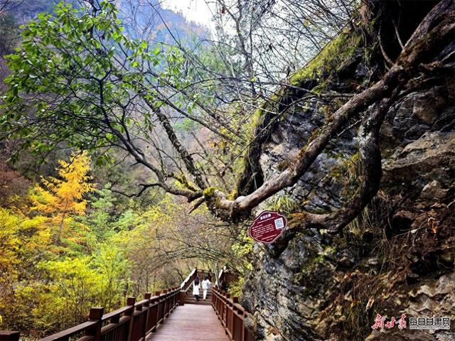 秋染官鹅沟 醉在山水间