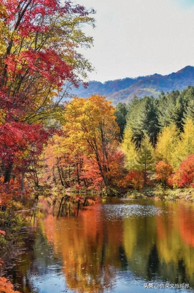 本溪：北国红枫深处的诗意秘境
