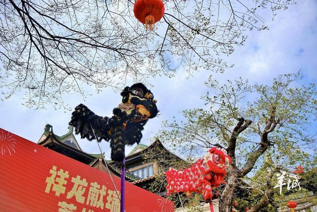 狮跃全运、巧织七夕，与广州荔湾相约八月文旅盛宴