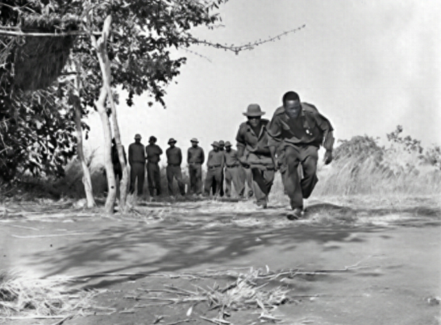 走过峥嵘岁月 共赴现代化新征程——习近平主席复信津巴布韦老战士寄语中非友好续写新篇