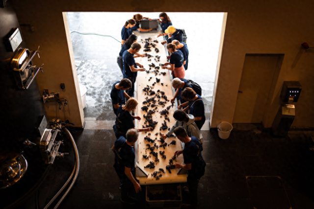 动态 | 除了巴黎，法国还能这么玩！飞猪联合波尔多当地打造酒庄游新体验