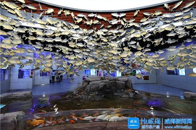 威海：博物馆里的“微缩海洋”，获采风团点赞！
