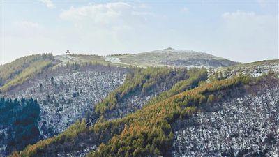 草茂林丰的生态底色