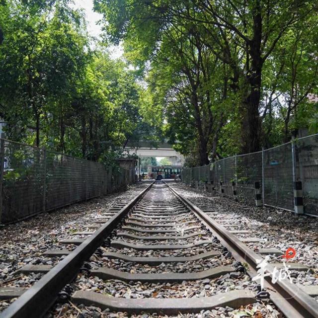 一起走在铁路上｜茶楼·跑街