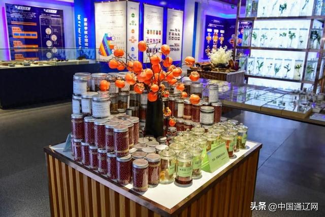 博物馆的玻璃柜内外：千年蒙医药的过去被珍藏，未来正在书写……