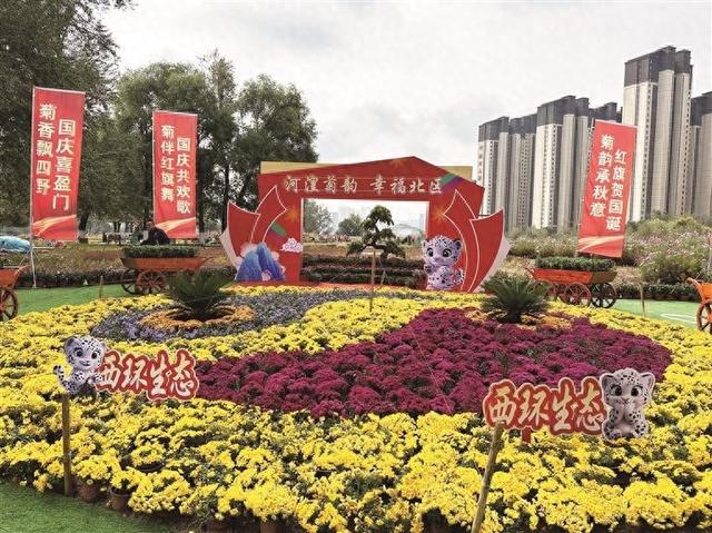 西宁市城北区 首届万菊争魁大赛启幕