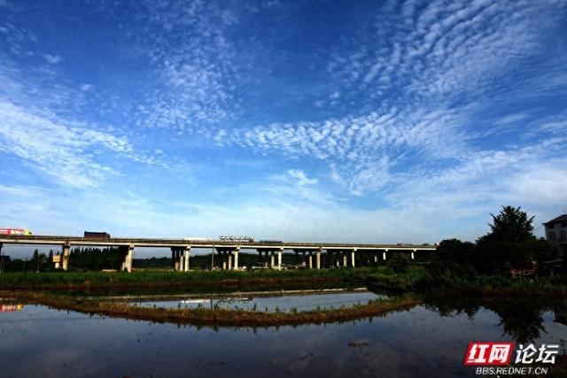 高清湖南丨岳阳云溪乡村游记：当钢筋铁骨遇上柔软稻浪