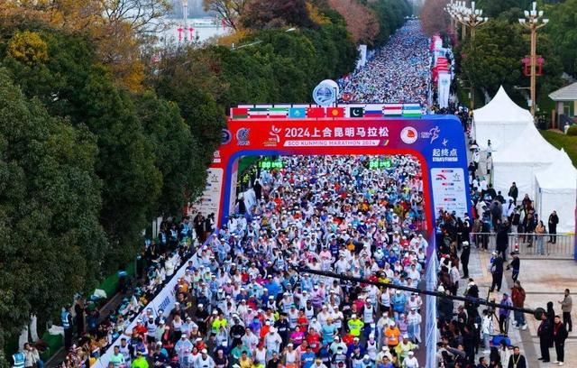 从远方而来，在暖阳里奔跑