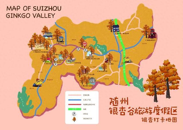 随州银杏谷旅游度假区已进入最佳观赏期，错过等一年！