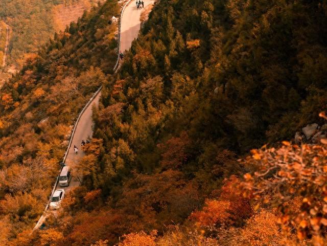 山西太原崛围红叶