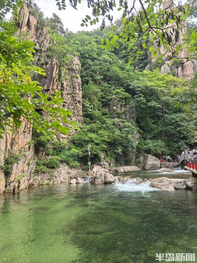 高清图来了！青岛出现绝美一幕，不少人直呼震撼！附近居民：观赏期就在这几天→