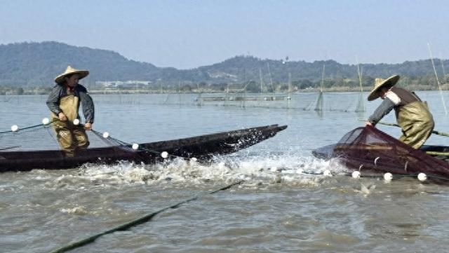 千年渔祭“潮”前走！德清下渚湖鱼汤饭烹出文旅新味道