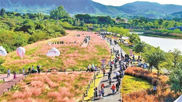 南澳雅韵汉服花海浪漫来袭