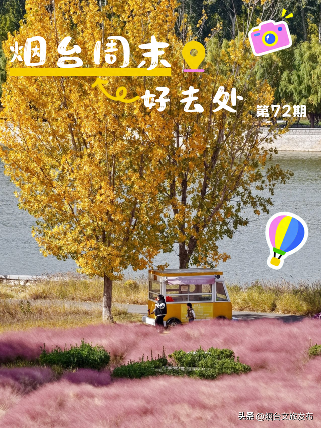 【乐游烟台】周末好去处丨热搜预定！烟台的秋天太上镜了！