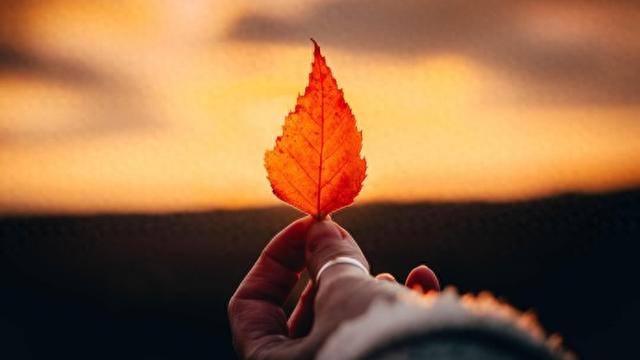 桑胜月：足不出“沪”环游世界