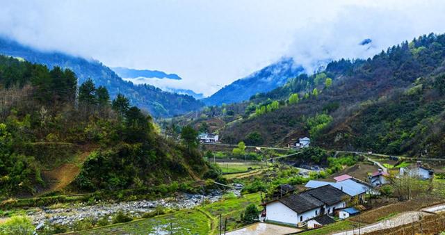 桂香漫秦岭，秋韵醉宁陕——走进9月的“秦岭之心 绿都宁陕”