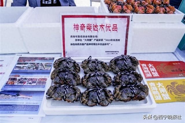 “山水原生态·魅力大柴旦”亮相西宁