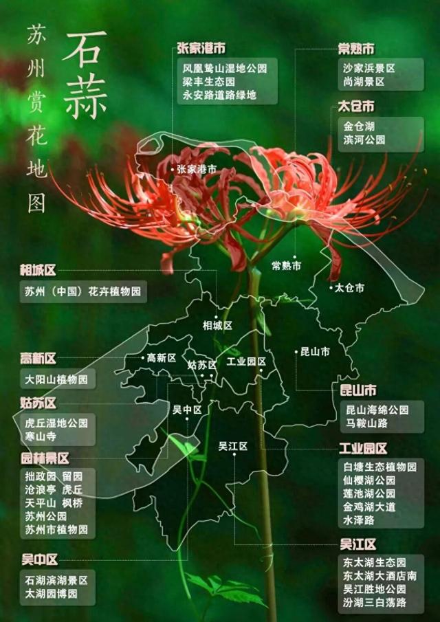 收藏！九月苏州赏花指南来啦