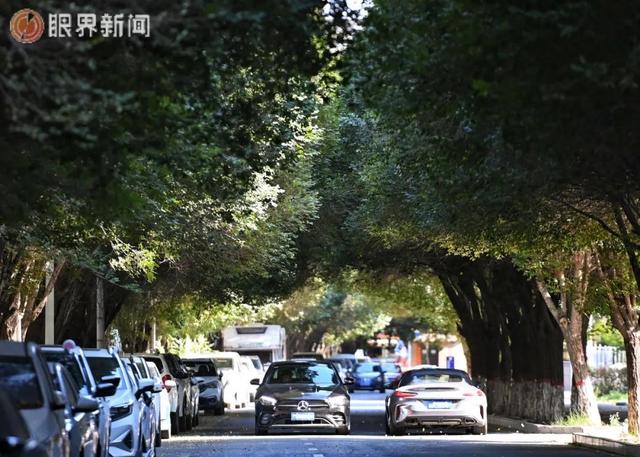 乌鲁木齐“含绿量”爆表了
