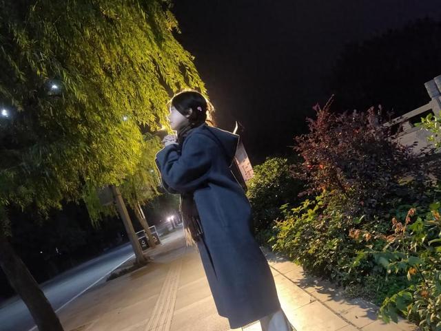 紫焰燃梦：从心驰金陵到踏足南大的十年征程