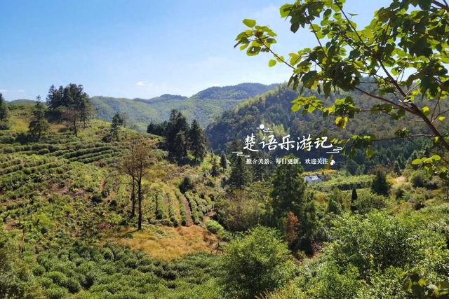浙江宁波的桃源级森林公园，藏着一条黄金古道，景美但需做好攻略