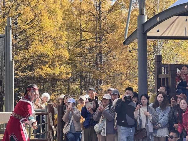 敖鲁古雅使鹿部落景区双节宠粉，演艺场次增加，这份时间安排请收好！