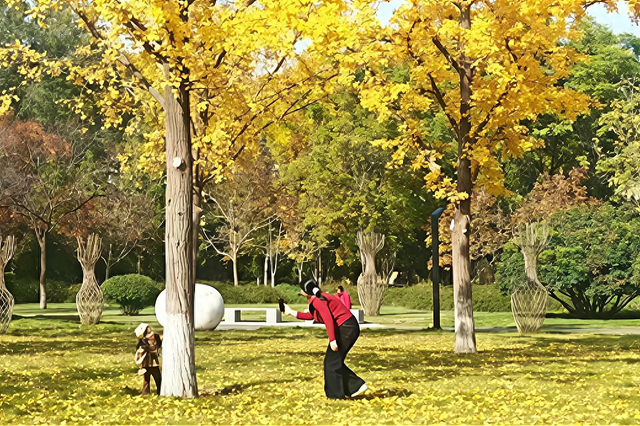 秋日“落叶缓扫”藏诗意，淄博人的周末很美妙