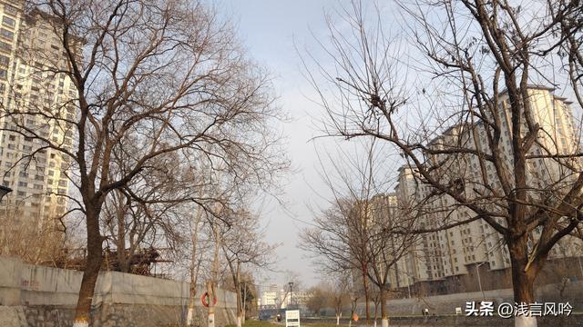 新乡的冬天，也有几分“老舍笔下的温情”