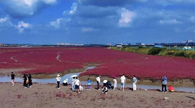 南海红海滩刷屏 网友争相打卡