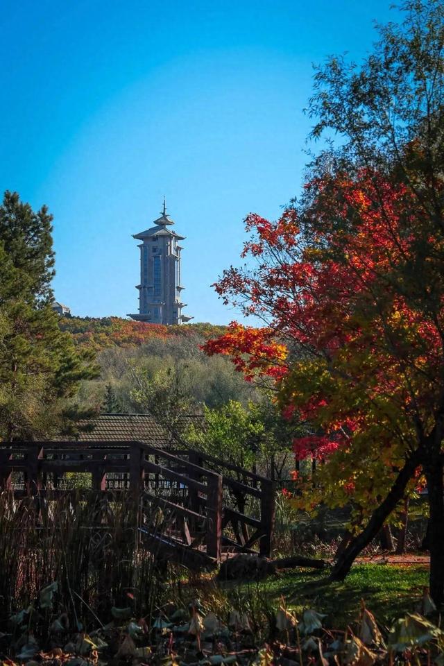 明日起，暂停经营→