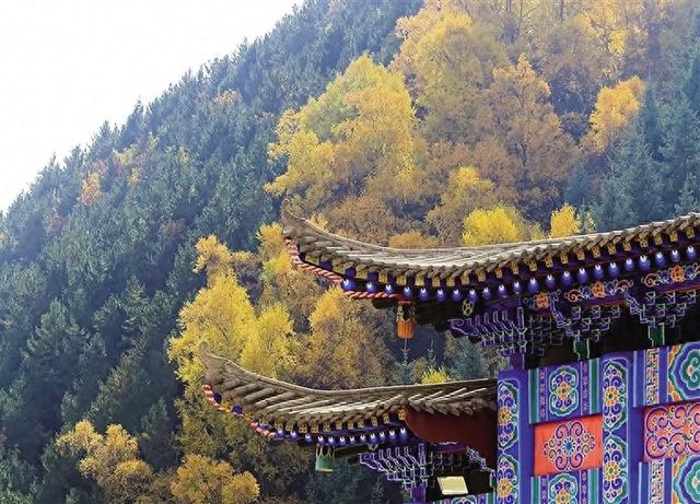 云漫关山秋正好 彩林深处藏斑斓