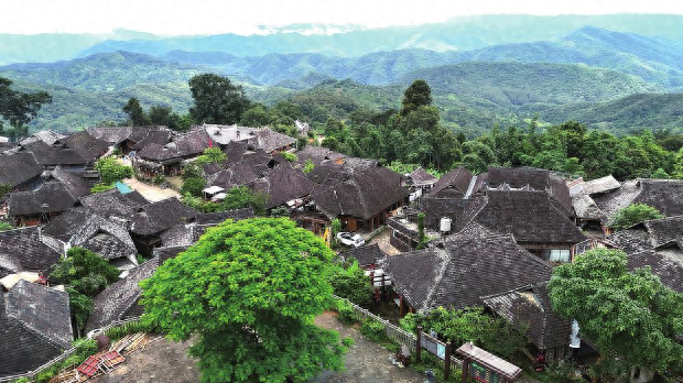 景迈山：茶山云海引客来