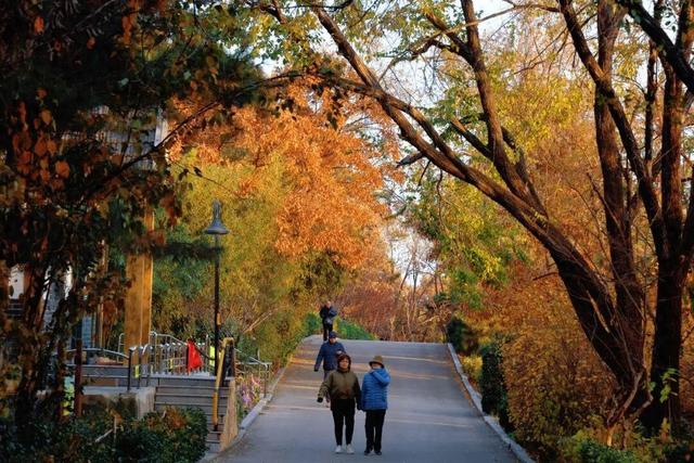 这条宝藏步道，藏着威海人冬日的运动暖趣