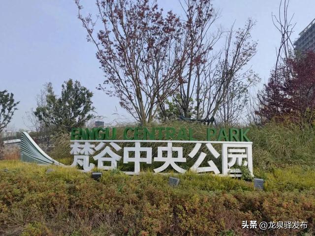 家门口的公园又＋1！能遛娃、能夜跑、还能露营→