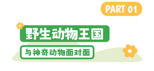 幼儿园大班免学费？山东这些超有趣的幼儿旅行地，带娃闭眼冲！