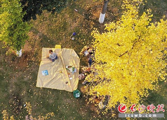 在长沙捡个秋 | 组图