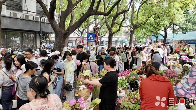 苏州“六月荷花市”盛景再现？