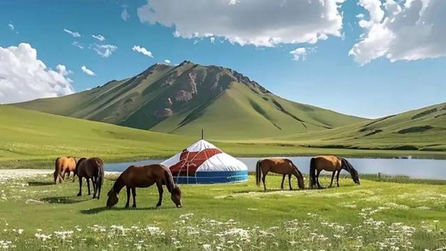 游遍中国美景之一呼伦贝尔大草原