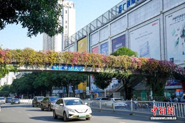 广西南宁：“彩虹”飞架闹市间