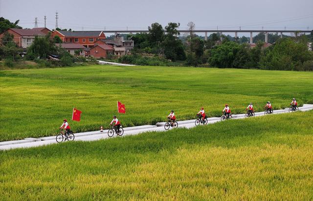 四川内江：稻花香里的“流动风景”