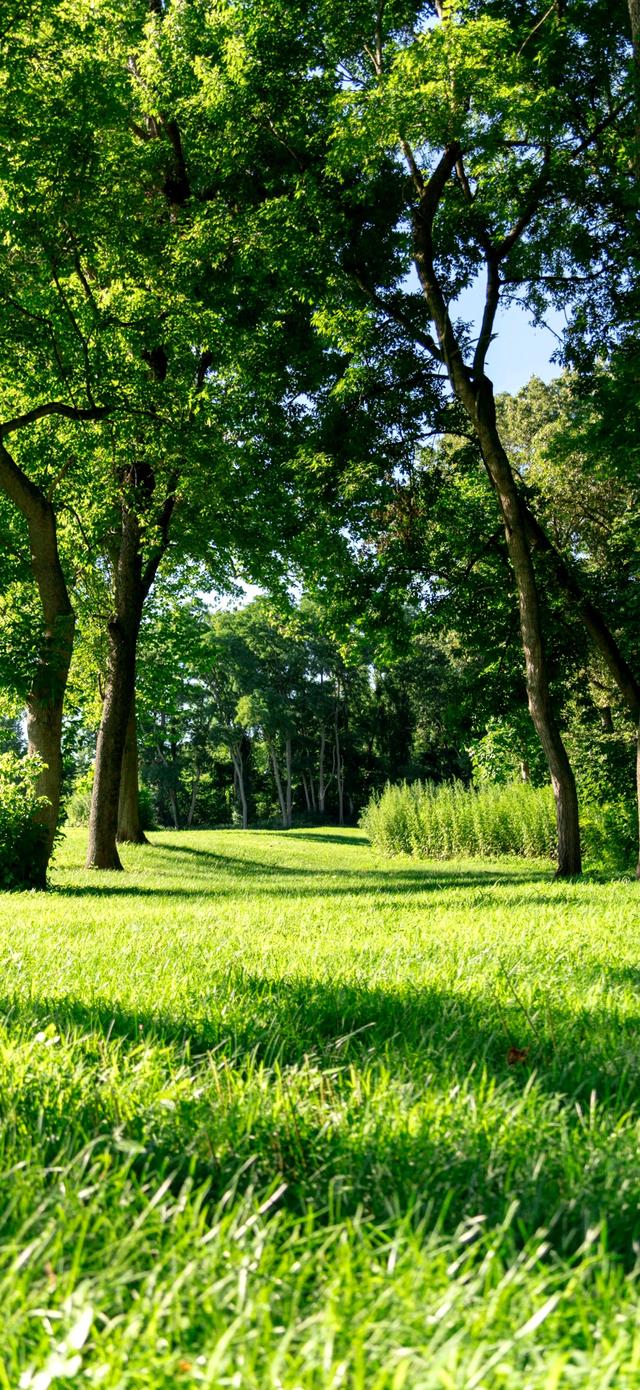 手机壁纸|风景