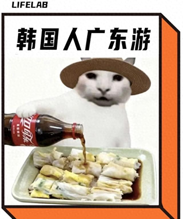 一生爱出片的韩国人，被广东教育了